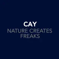 Speed 13 — Cay