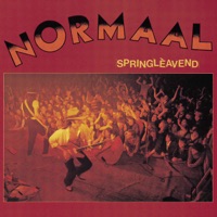 Normaal - Hendrik Haverkamp