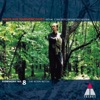Nikolaus Harnoncourt & Chamber Orchestra of Europe - Symphony No. 8 in G Major, Op. 88: III. Allegretto grazioso