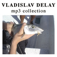 Vladislav Delay - Huone