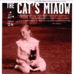 Not Like I Was Doing Anything