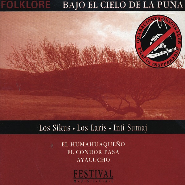 Bajo el Cielo de la Puna