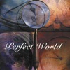 Perfect World