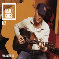 Fly (Mixes) - Matt Goss