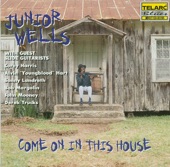 Junior Wells - Give Me One Reason