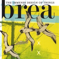 The Immense Design of Things - Brea