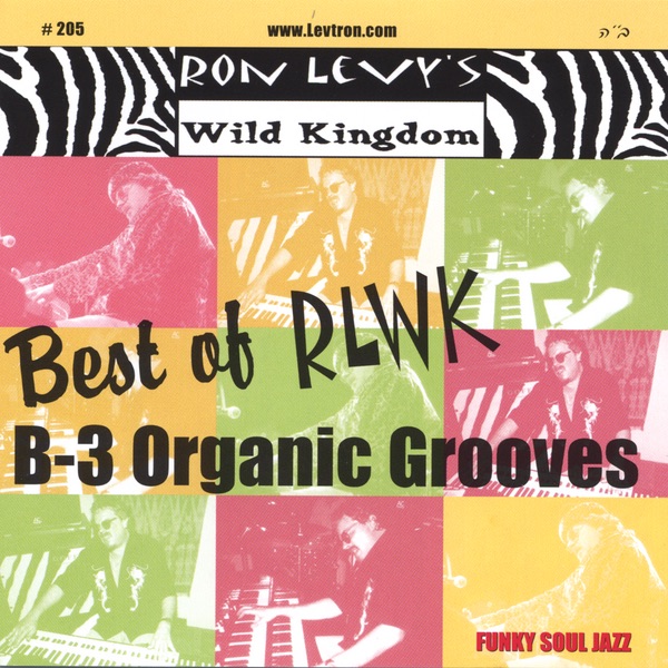 Best of Rlwk - B-3 Organic Grooves - Ron Levy's Wild Kingdom