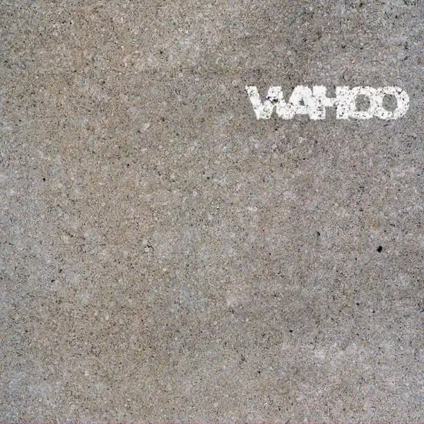 Holding You (Âme Remix) — Wahoo
