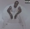 Puff Daddy Featuring Hurricane G - P.E. 2000