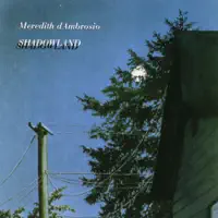 I Should Care / The Sheepcounter's Lament — Meredith d'Ambrosio