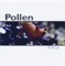 Barefoot - Pollen lyrics