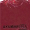 Tunnels - The Tremula lyrics