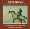 Stream & download Spirit Horses