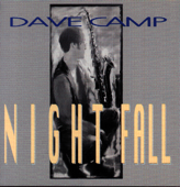 Cover art for Nightfall by Dave Camp & Peter White
