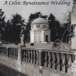 A Celtic Renaissance Wedding - Brobdingnagian Bards