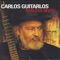 Shake My Blue (w/ David Hidalgo) - Carlos Guitarlos lyrics