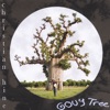 Gouy Tree