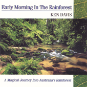 Early Morning In the Rainforest