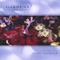 Frangipani - Vicki Larnach lyrics