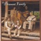 Magpie - The Pleasant Family Old Time String Band lyrics
