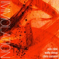 Immolation / Immersion - Chris Corsano, Nels Cline & Wally Shoup