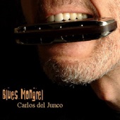 Carlos Del Junco - Plain Old (Down Home) Blues