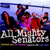 All Mighty Senators - TNRS (The New Reggae Song)