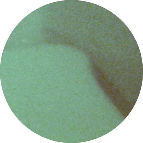 Root Pattern - Single