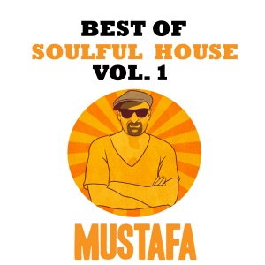 Best of Soulful House Vol 1