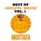 Sina (Soulful Mix) - Mustafa lyrics