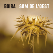 Sóc de L'Oest - Grup Boira