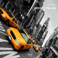 Wooden Fellow - Single - Lunatique Sublime