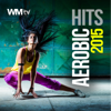 Aerobic Hits 2015 (Non-Stop Mixed Session 135 BPM) - 群星