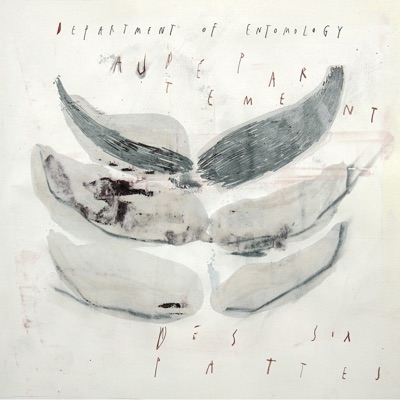 Department of Entomology