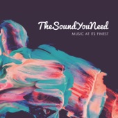 TheSoundYouNeed, Vol. 1 artwork