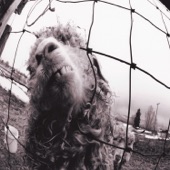 Pearl Jam - Rearviewmirror