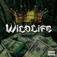 Wildlife - Wildlife