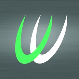 Don't Stop the Music Over Aveo