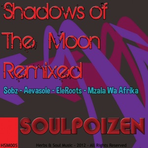 Shadows of the Moon (Remixed)