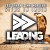Sitar in India - Single