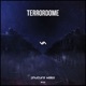 Terrordome Single