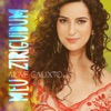 Aline Calixto - Papo de Samba