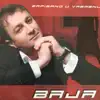 Nedeljko Bajic Baja - Ludnica