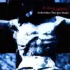 In Strict Confidence / Zauberschloss (Radio Mix)