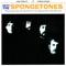Am I Dancing, Or What? - The Spongetones lyrics