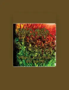 Dengarkan Percussor, tonton video musik, baca bio, lihat tanggal tur & lainnya!