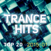 Trance Hits Top 20 - 2015-01 - Varios Artistas