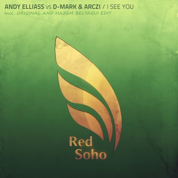 I See You (Andy Elliass vs. D-Mark vs. Arczi) - Single