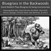 David Naiditch - Bluegrass in the Backwoods (feat. Dennis Caplinger, Christian Ward & Austin Ward)
