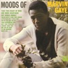 Moods of Marvin Gaye artwork